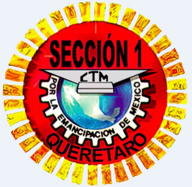 Sección 1 CTM